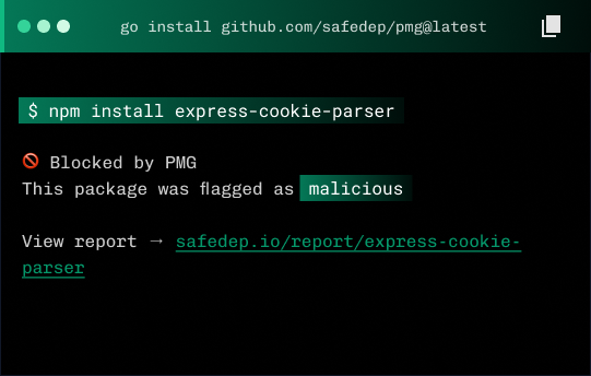 SafeDep PMG CLI interface