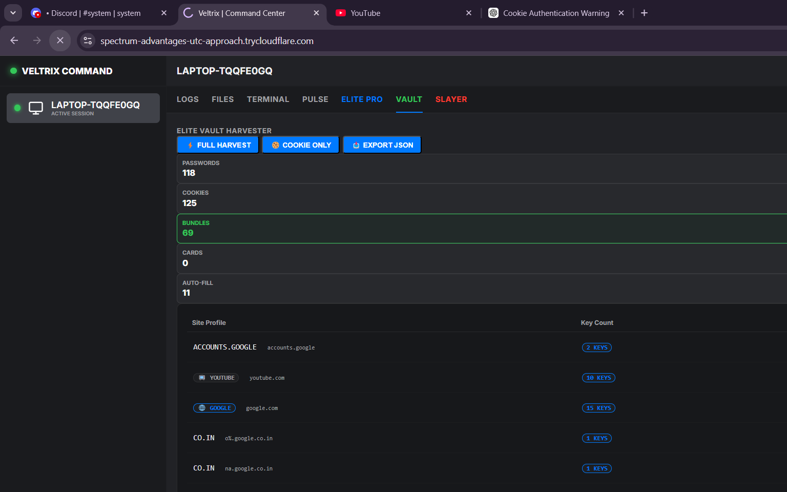 Veltrix VAULT tab showing 69 bundles including ACCOUNTS.GOOGLE (2 keys), YOUTUBE (10 keys), GOOGLE.COM (15 keys) — the attacker's own Google session cookies